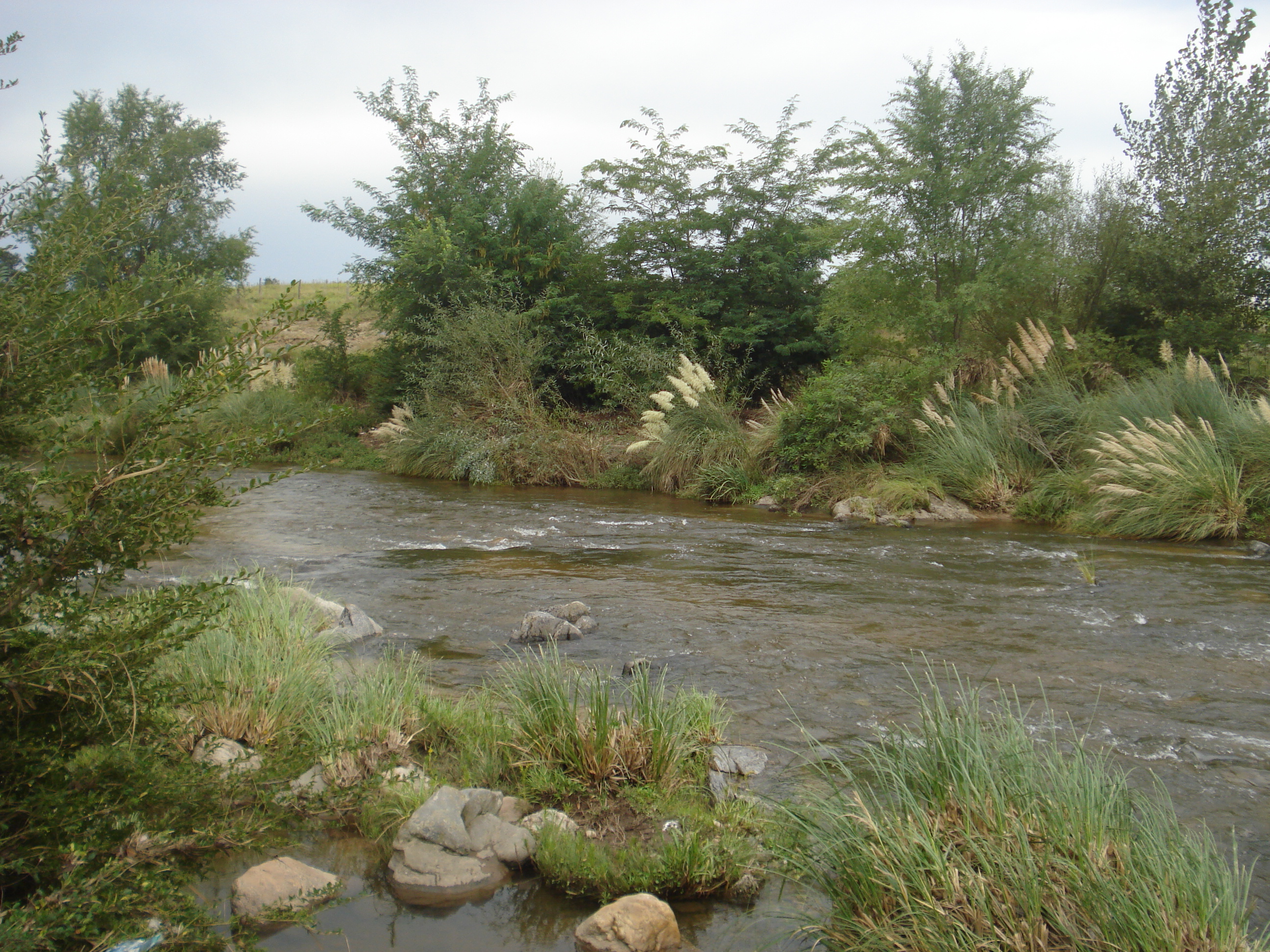 fotos/2011 - Los Reartes/DSC00557.JPG